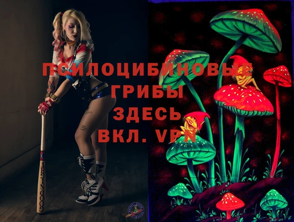 гидропоника Алзамай