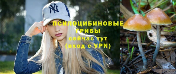 таблы Армянск