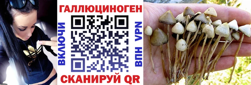 Галлюциногенные грибы ЛСД  Ликино-Дулёво 